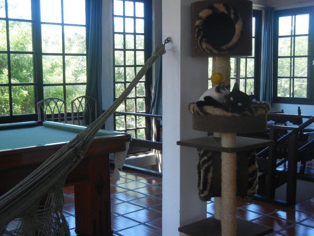 The Cats' House Hotel Florianópolis Kültér fotó