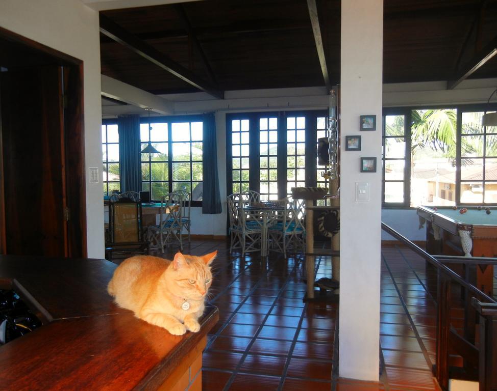 The Cats' House Hotel Florianópolis Kültér fotó
