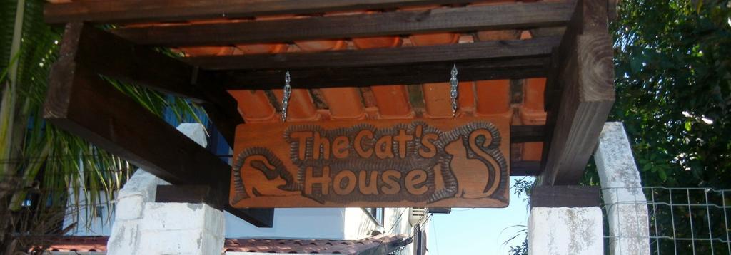 The Cats' House Hotel Florianópolis Kültér fotó