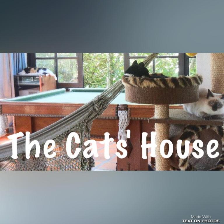 The Cats' House Hotel Florianópolis Kültér fotó