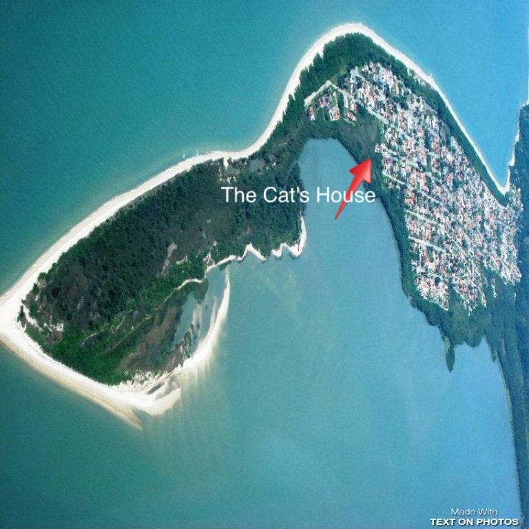 The Cats' House Hotel Florianópolis Kültér fotó